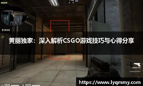 黄丽独家：深入解析CSGO游戏技巧与心得分享